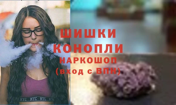гидра Липки