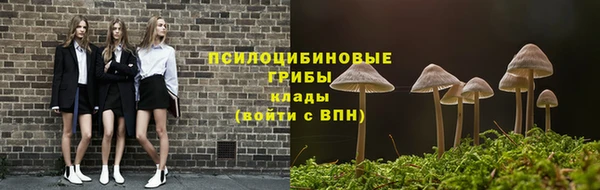 таблы Лиски