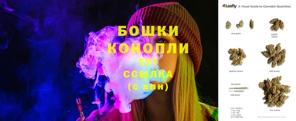 гидра Липки