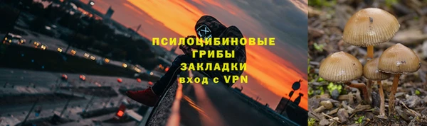 таблы Лиски