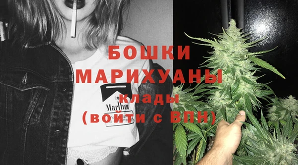 гидра Липки