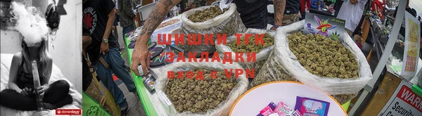 гидра Липки
