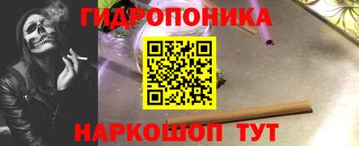 стаф Кимры