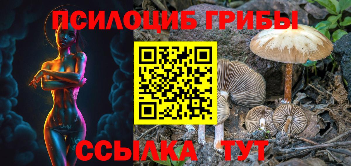 Мценск  Галлюциногенные грибы мухоморы  Вход с VPN  Псилоцибиновые грибы Psilocybine cubensis 