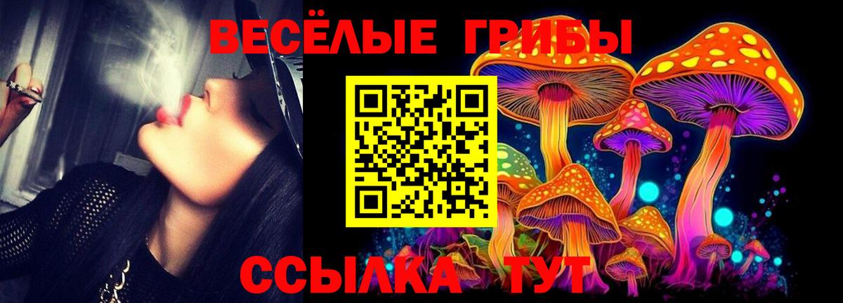 Псилоцибиновые грибы мицелий Мценск