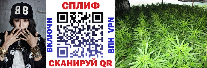 Шишки марихуана White Widow  что такое наркотик  Мценск 